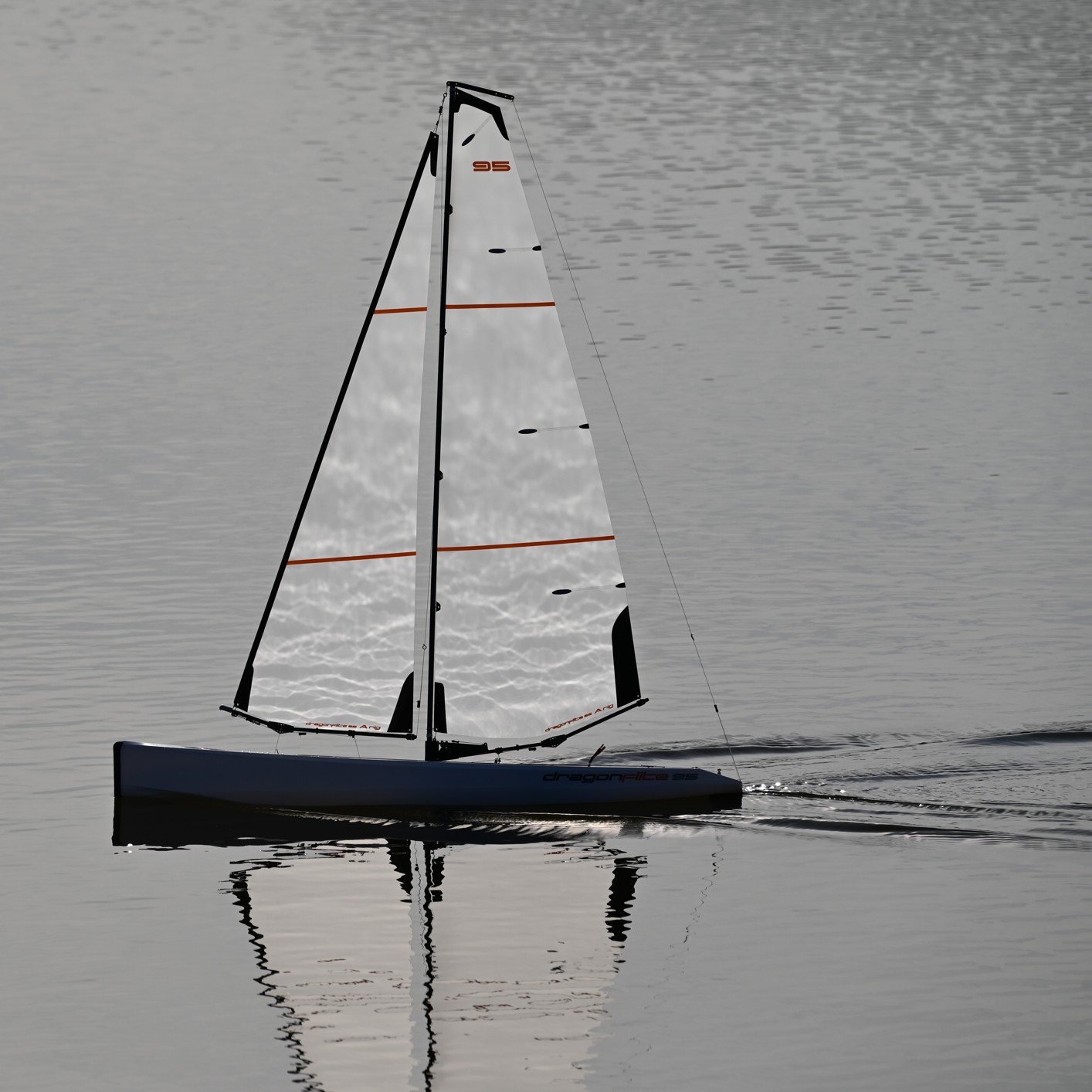 DSC_2497