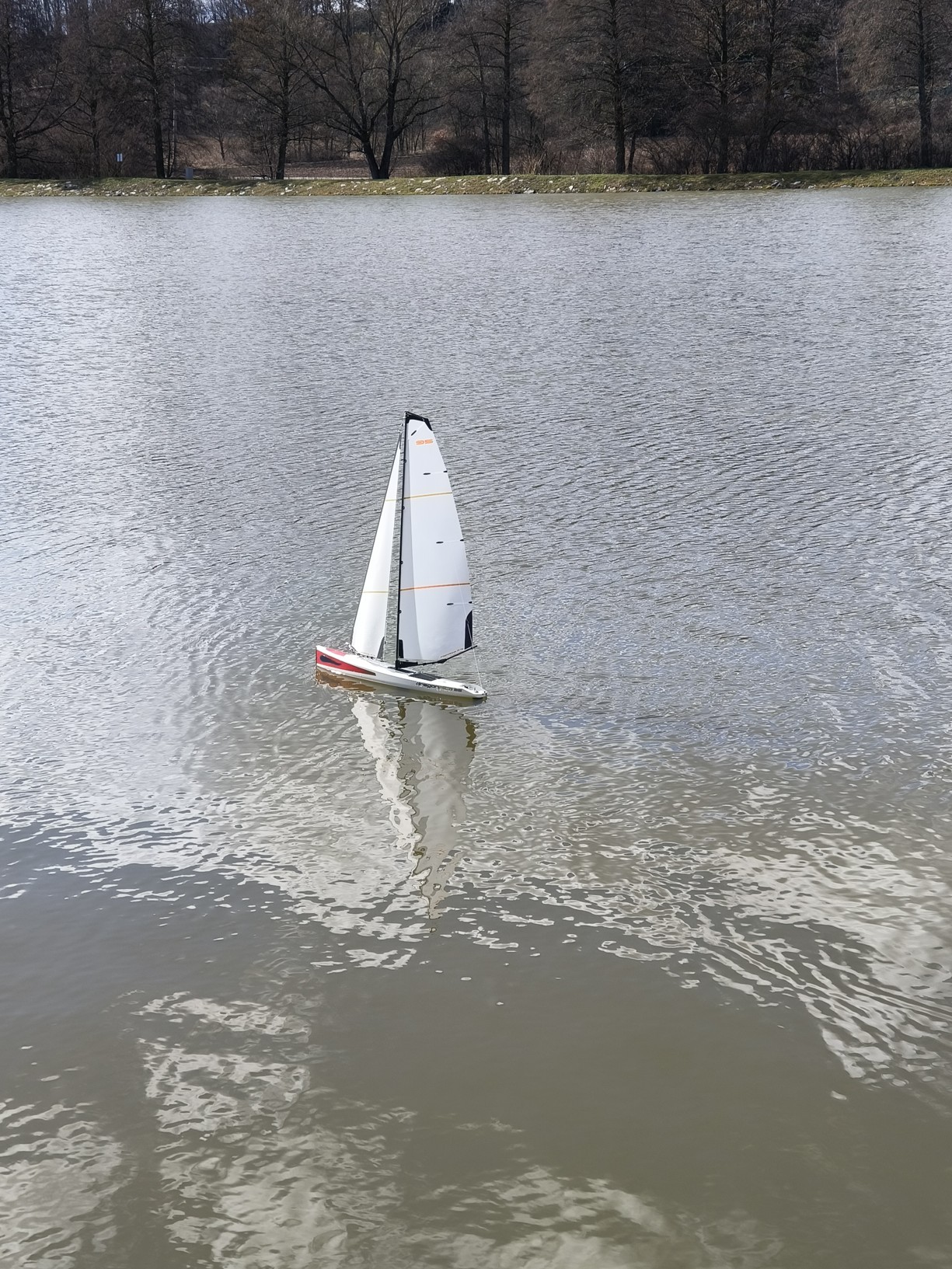 IMG20250317140507