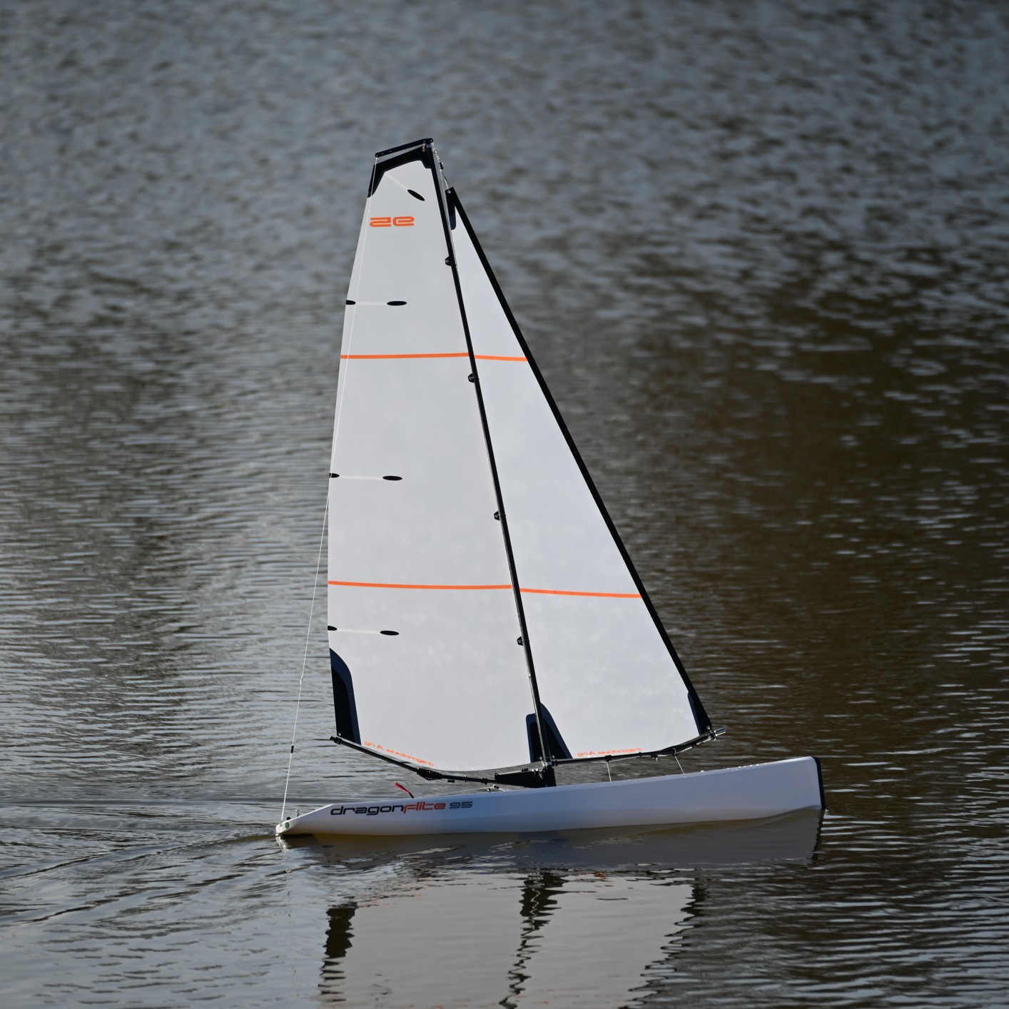 DSC_2500