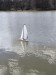 IMG20250317140507